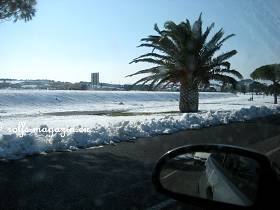 9.Mrz 15h20' - Palmen im Schnee sieht man nicht sehr oft.